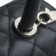 CHANEL SMALL COCO HANDLE BAG