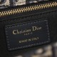 Dior 30 Montaigne Bag