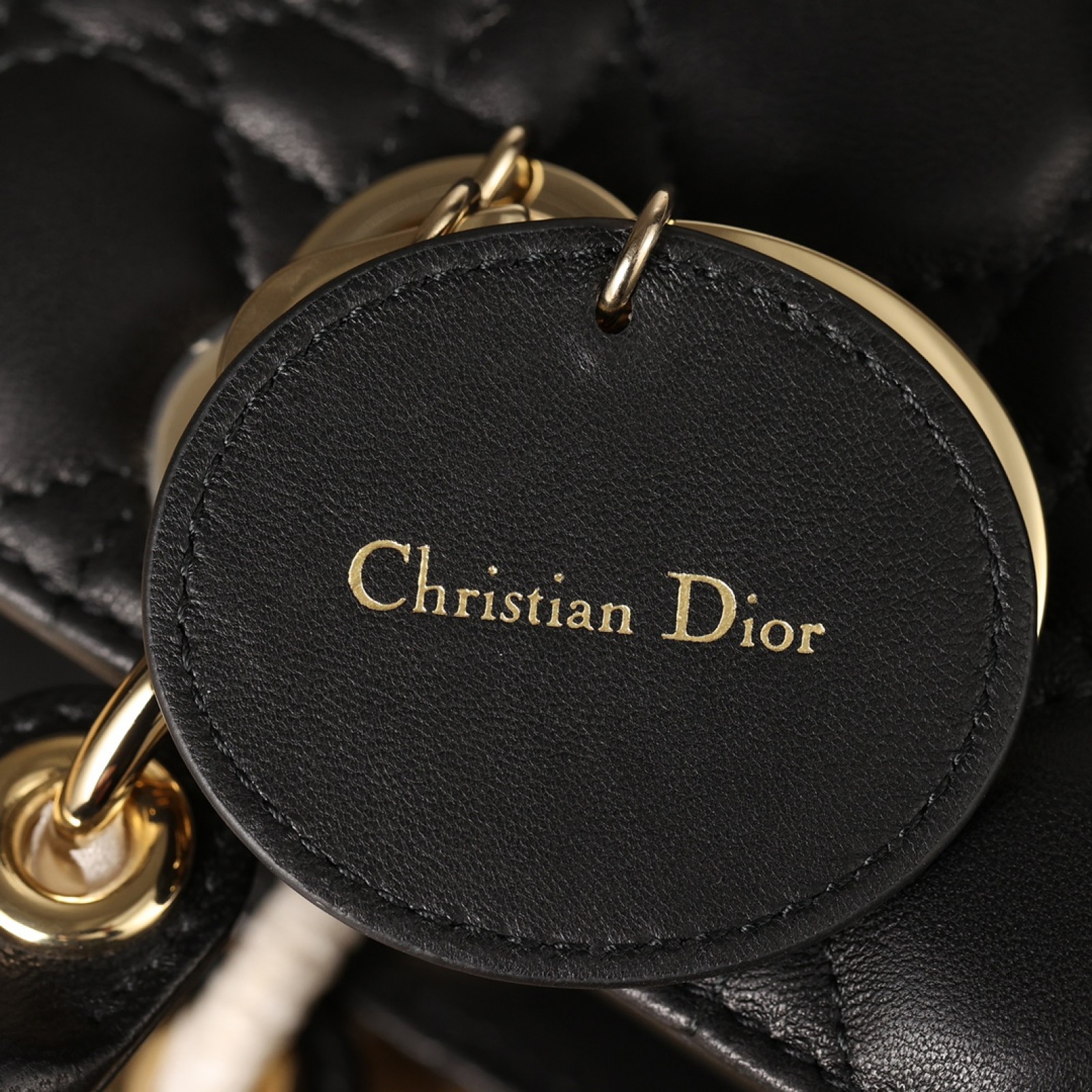 Dior Small Lady My ABCDior Bag