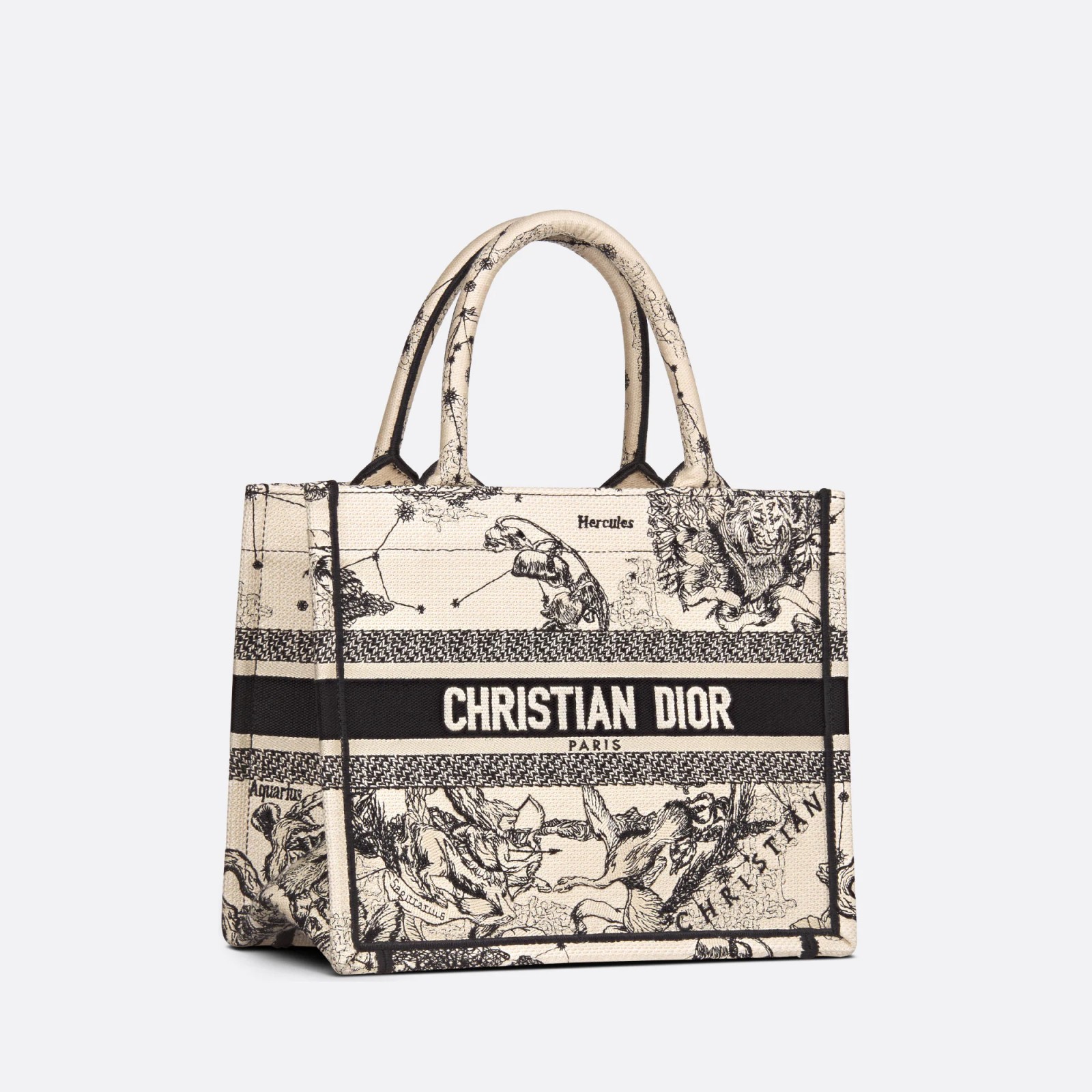 Dior Small Book Tote