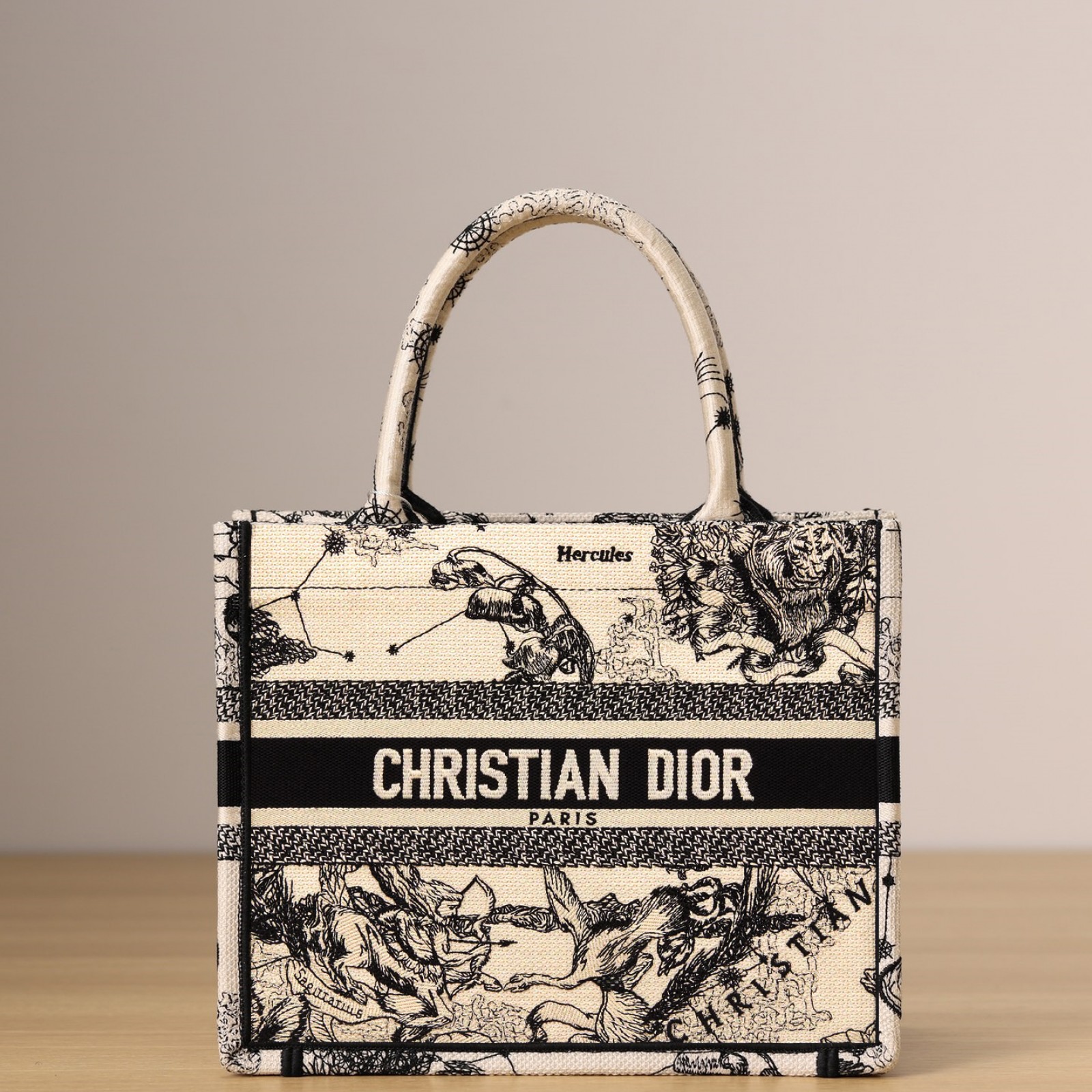 Dior Small Book Tote