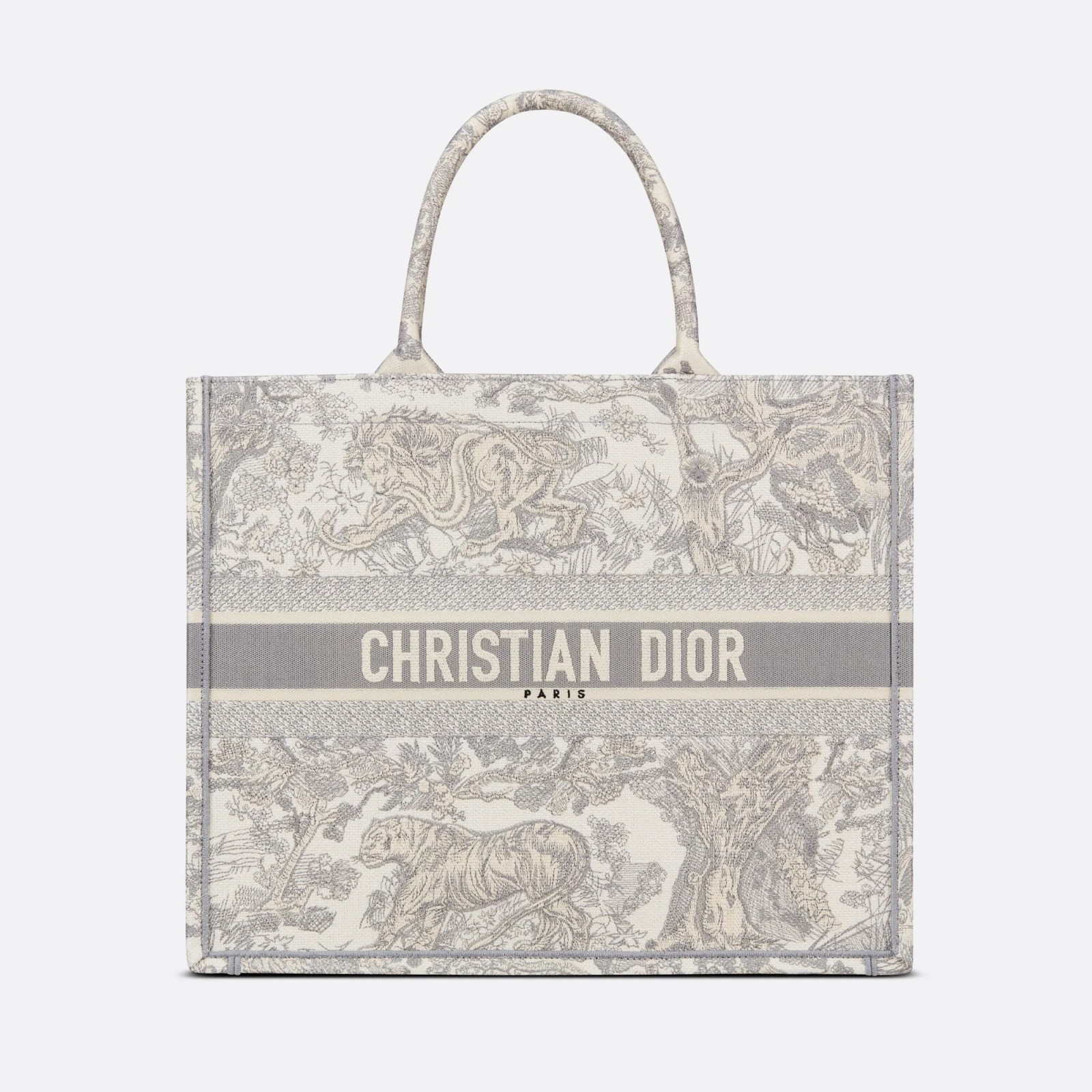 Dior Large Book Tote