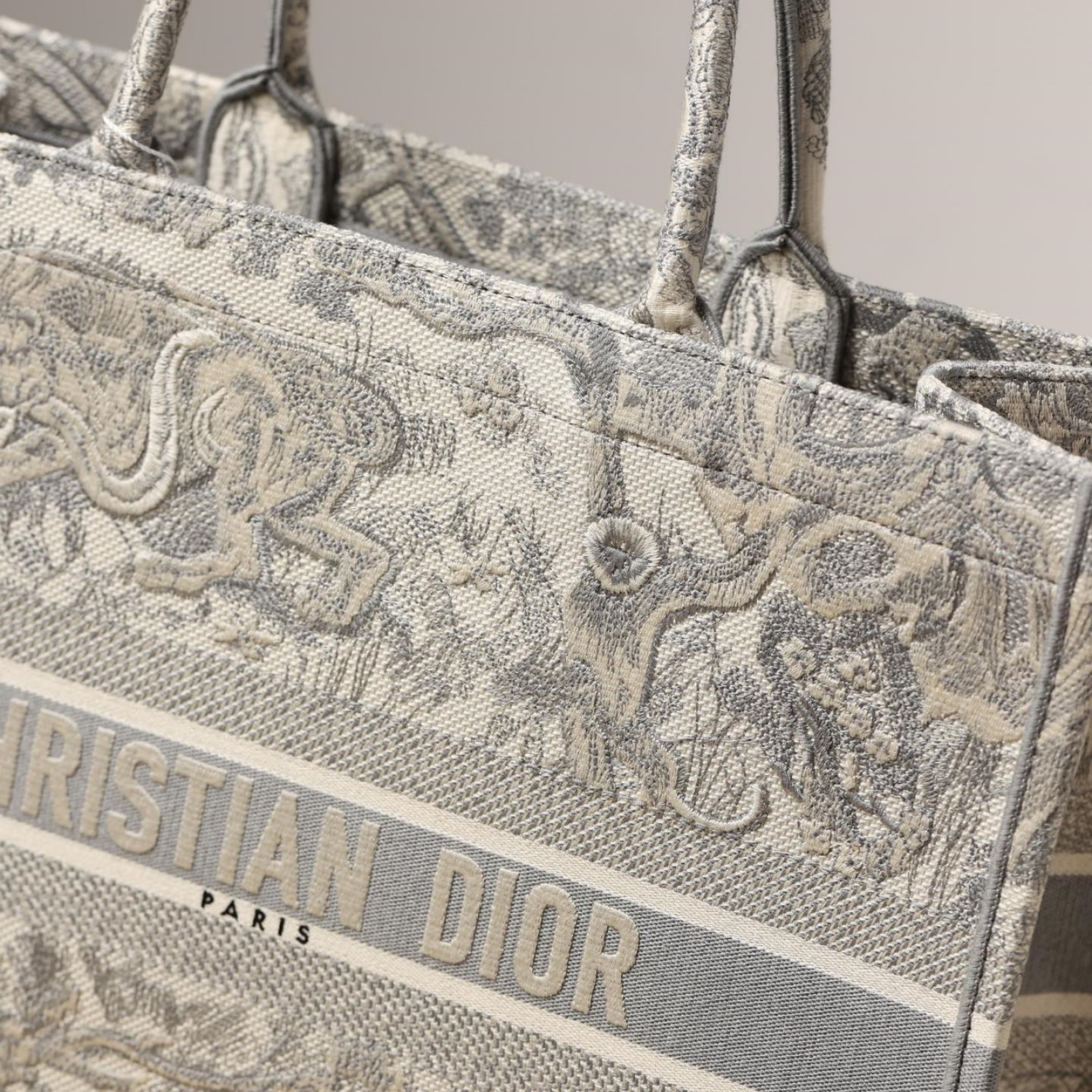 Dior Large Book Tote