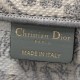 Dior Large Book Tote