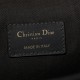 Dior Medium C'est Bag