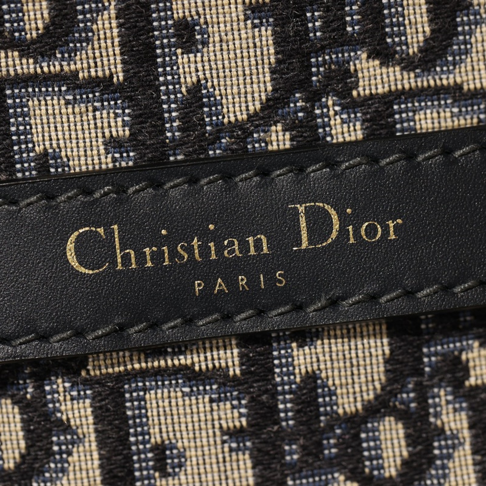 Dior Medium C'est Bag