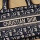 Dior Mini Book Tote