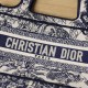 Dior Mini Book Tote