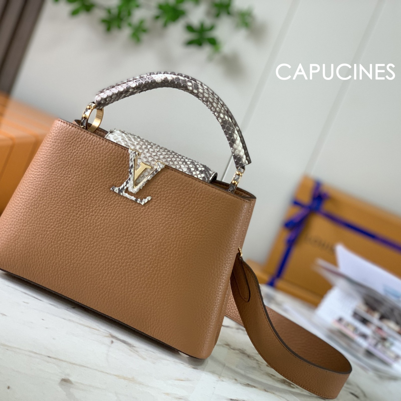 LV Capucines BB