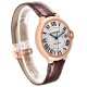 Cartier Ballon Bleu Rose Gold Silver Dial Mens Watch WGBB0035