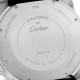 Cartier Calibre Diver Black Dial Steel Mens Watch W7100056