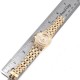 Patek Philippe Neptune Yellow Gold Diamond Ladies Watch 4881-120